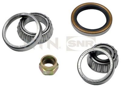 Wheel Bearing Kit SNR R170.11