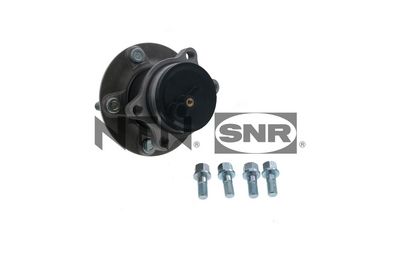 Wheel Bearing Kit SNR R173.70