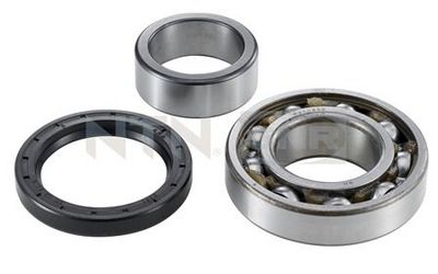 Wheel Bearing Kit SNR R177.15