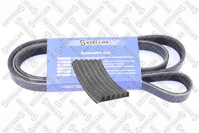 V-Ribbed Belt STELLOX 06-01955-SX