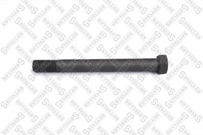 Screw STELLOX 84-43977-SX