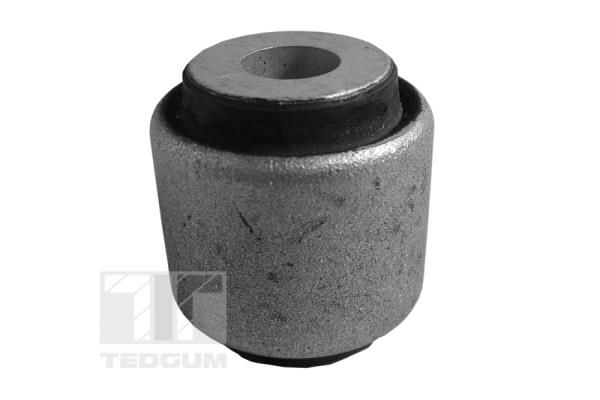TEDGUM 00050881 Mounting, control/trailing arm