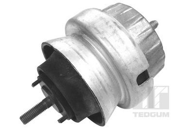 Mounting, engine TEDGUM 00056452