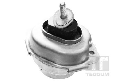 Mounting, engine TEDGUM 00088466