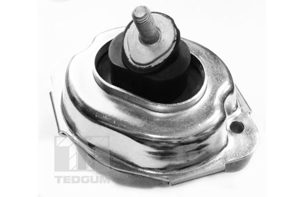 TEDGUM 00088534 Mounting, engine