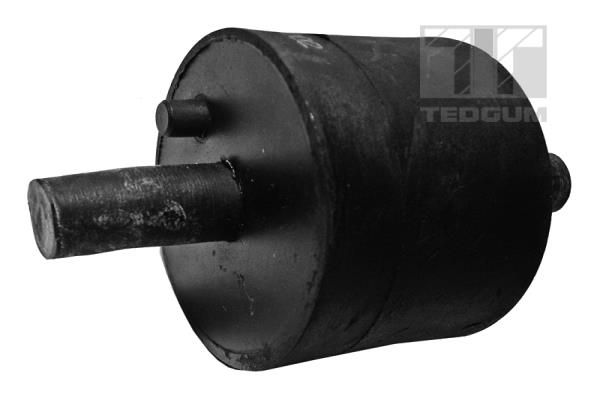 TEDGUM 00089175 Mounting, engine