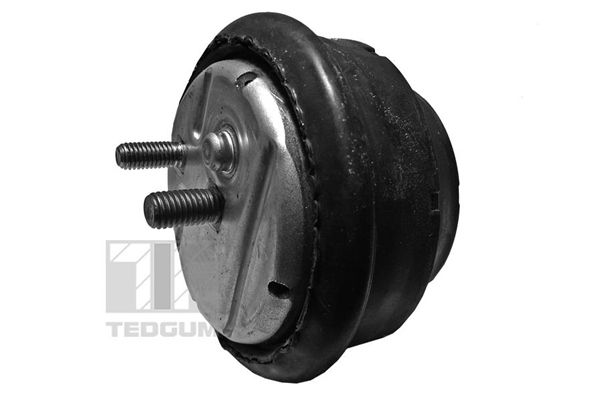 TEDGUM 00089808 Mounting, engine