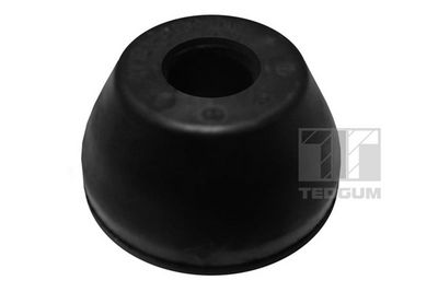 Mounting, control/trailing arm TEDGUM 00261930