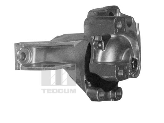 TEDGUM 00269468 Mounting, engine