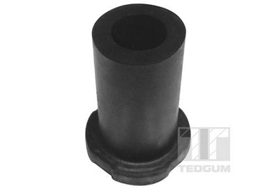 Mounting, leaf spring TEDGUM 00284896