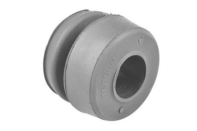Mounting, control/trailing arm TEDGUM 00344857