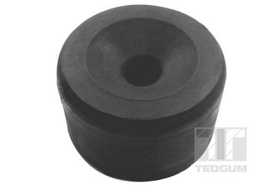Mounting, vehicle frame TEDGUM 00376204