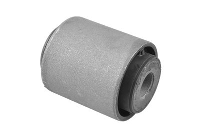 Mounting, control/trailing arm TEDGUM 00398385