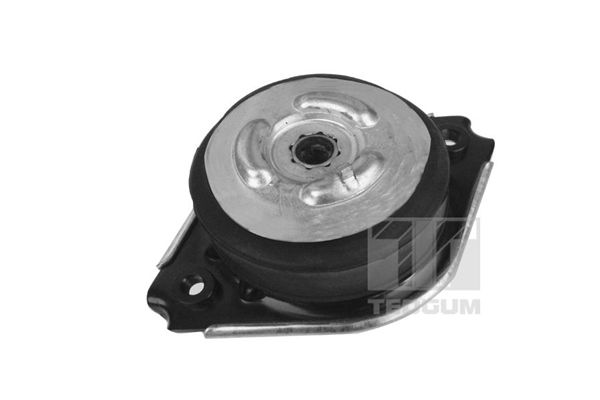TEDGUM 00418536 Mounting, engine