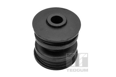 Mounting, control/trailing arm TEDGUM 00462367