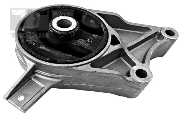 TEDGUM 00500192 Mounting, engine