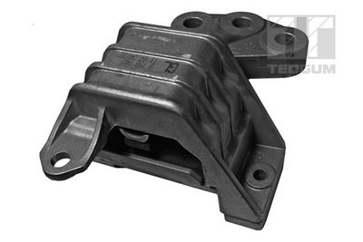 Mounting, engine TEDGUM 00507909