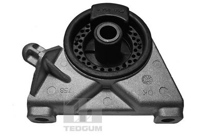 Mounting, engine TEDGUM 00509064