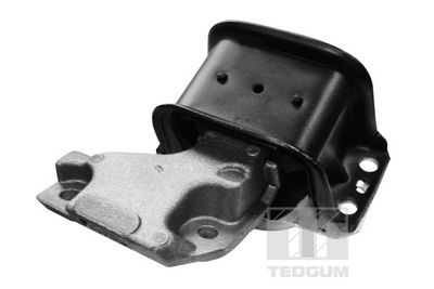 Mounting, engine TEDGUM 00511756