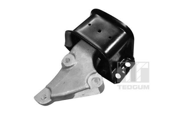 TEDGUM 00516309 Mounting, engine