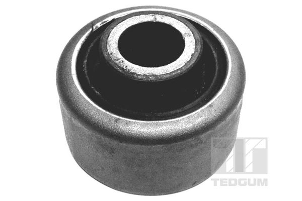 TEDGUM 00586410 Mounting, control/trailing arm