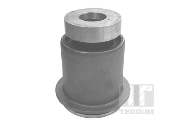 TEDGUM 00683661 Mounting, control/trailing arm