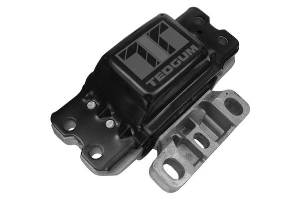 TEDGUM 00722490 Mounting, manual transmission support
