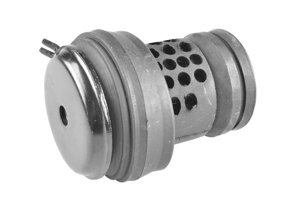 TEDGUM 00723306 Mounting, engine