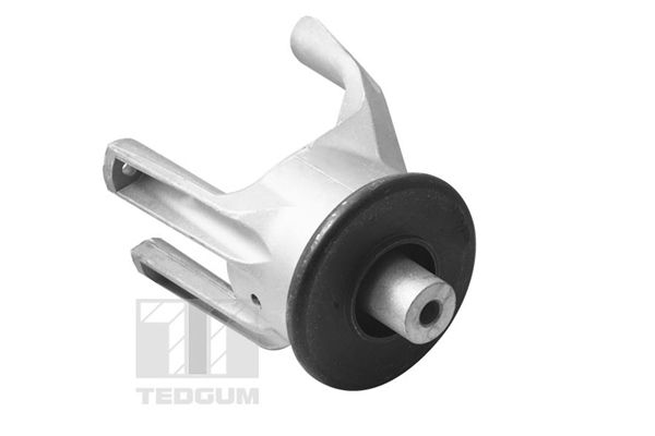 TEDGUM 00725748 Mounting, engine