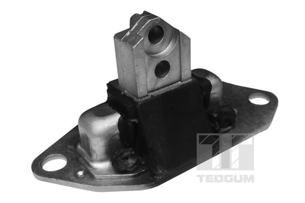 TEDGUM 00745688 Mounting, engine