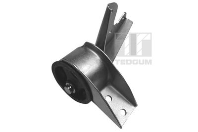 Mounting, engine TEDGUM 01004253