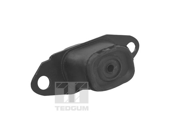 TEDGUM TED15980 Mounting, engine