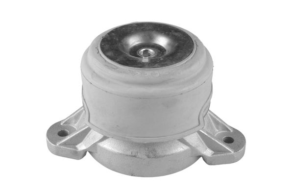 TEDGUM TED18700 Mounting, engine