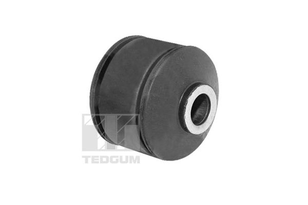 TEDGUM TED19869 Mounting, control/trailing arm