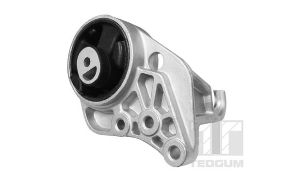 TEDGUM TED36922 Mounting, engine