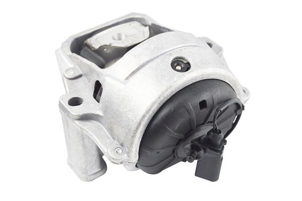 TEDGUM TED40903 Mounting, engine