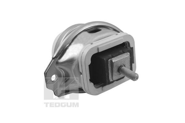 TEDGUM TED44341 Mounting, engine
