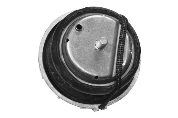 TEDGUM TED46098 Mounting, engine