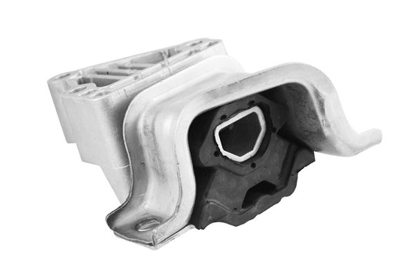 TEDGUM TED50530 Mounting, engine