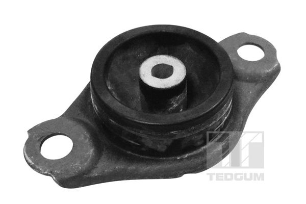 TEDGUM TED58229 Mounting, engine