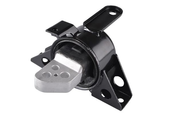 TEDGUM TED70961 Mounting, engine