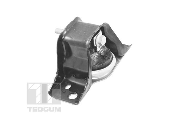 TEDGUM TED84297 Mounting, engine