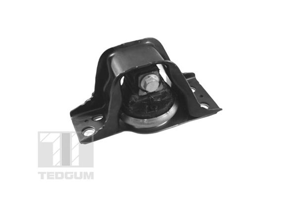TEDGUM TED94010 Mounting, engine