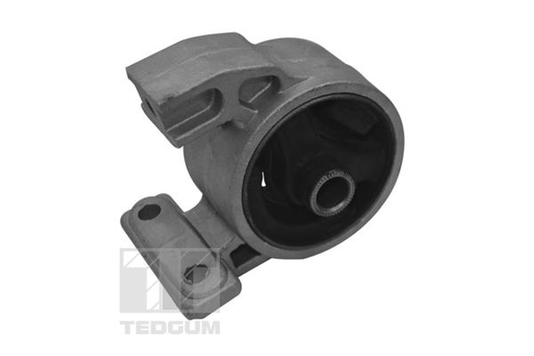 TEDGUM TED94977 Mounting, engine