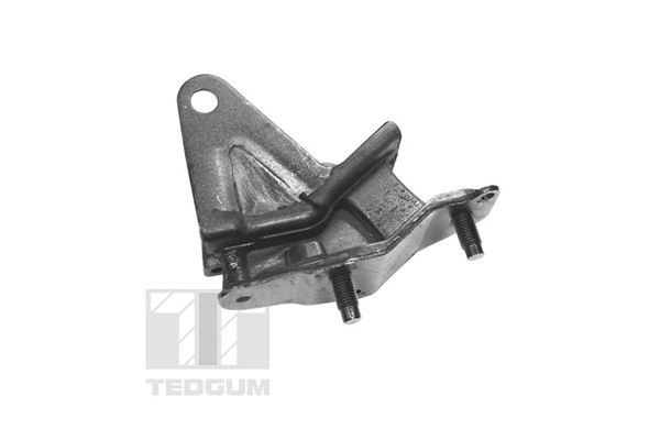 TEDGUM TED97156 Mounting, engine