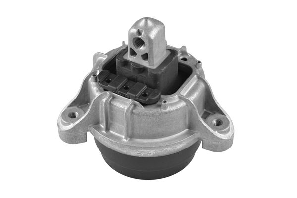 TEDGUM TED97460 Mounting, engine