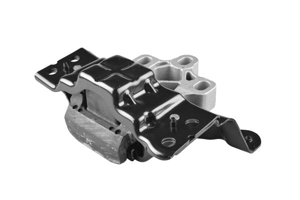 TEDGUM TED97570 Mounting, engine