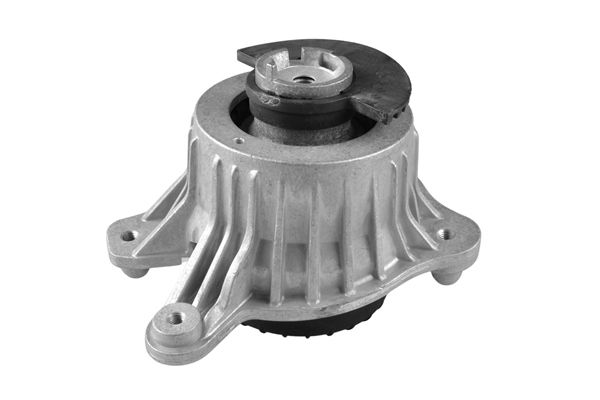 TEDGUM TED98110 Mounting, engine