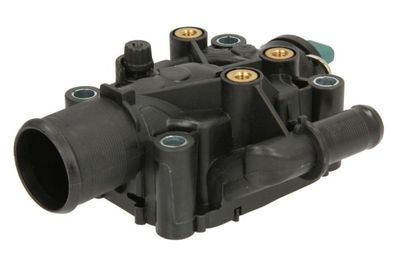 Thermostat, coolant THERMOTEC D2C006TT
