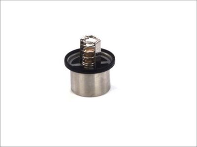 Thermostat, coolant THERMOTEC D2DA001TT